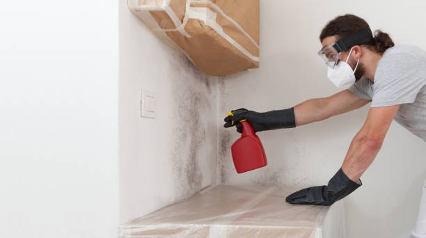 Professional Attic Mold Remediation technician working in Passaic, NJ