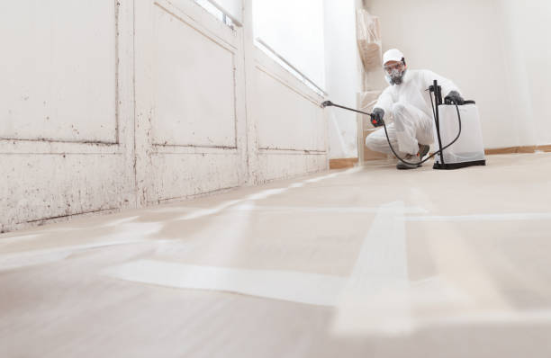 24/7 Emergency Attic Mold Remediation experts in Passaic, NJ
