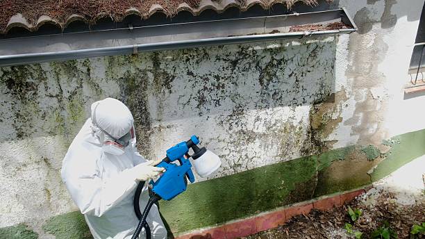 Top rated local Attic Mold Remediation specialists in Passaic, NJ